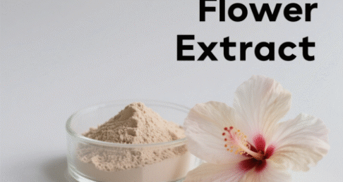 Hibiscus Flower Extract