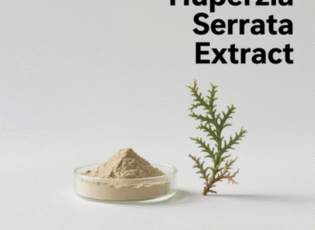 Huperzia Serrata Extract