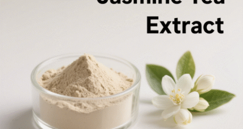 Jasmine Tea Extract