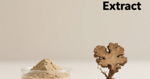 Ligusticum Wallichii Extract