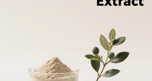 Ligustrum Extract
