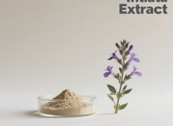 Lobelia Intiata Extract