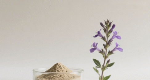 Lobelia Intiata Extract