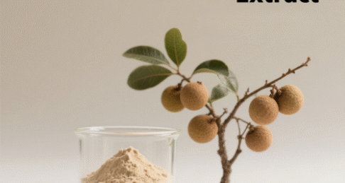 Longan Aril Extract