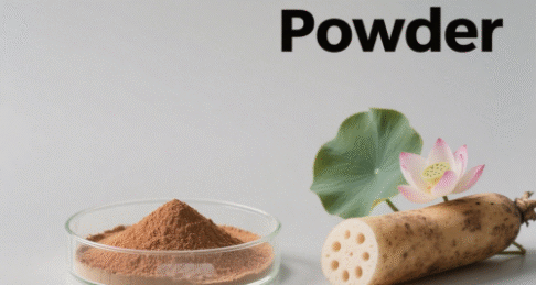Lotus Root Powder