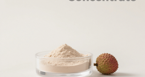 Lychee Juice Concentrate