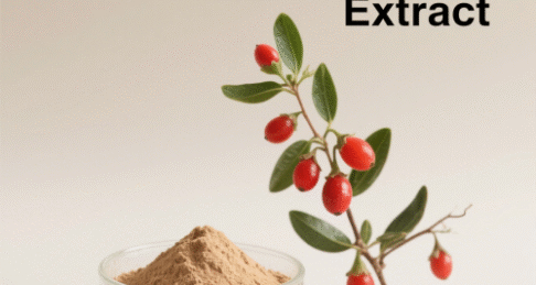 Lycium Extract