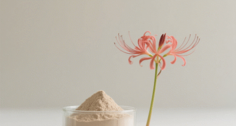 Lycoris Radiata Herb Extract