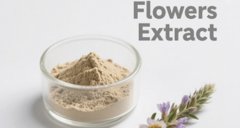 Mullein Flowers Extract