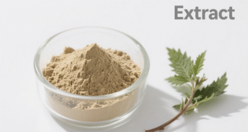Nettle Root Extract