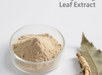 Notoginseng Leaf Extract