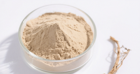 Notopterygium Root Extract