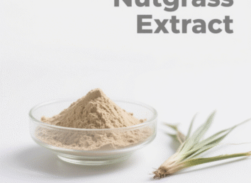 Nutgrass Extract