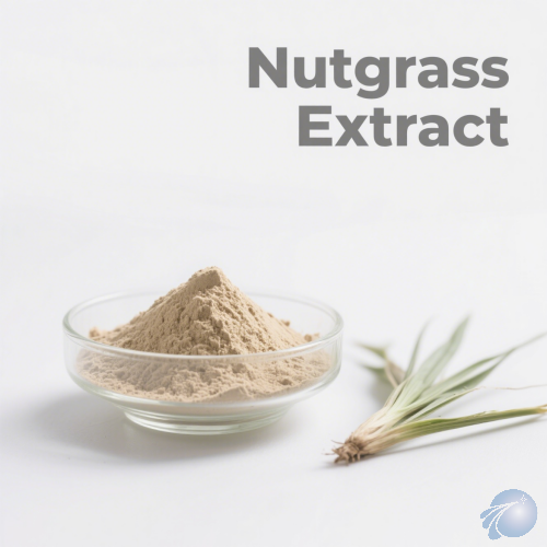Nutgrass Extract