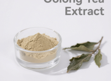 Oolong Tea Extract