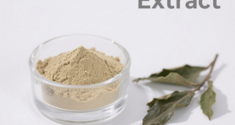 Oolong Tea Extract