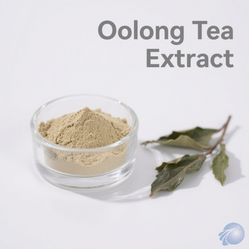 Oolong Tea Extract