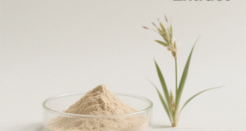 Ophiopogon Japonicus Extract