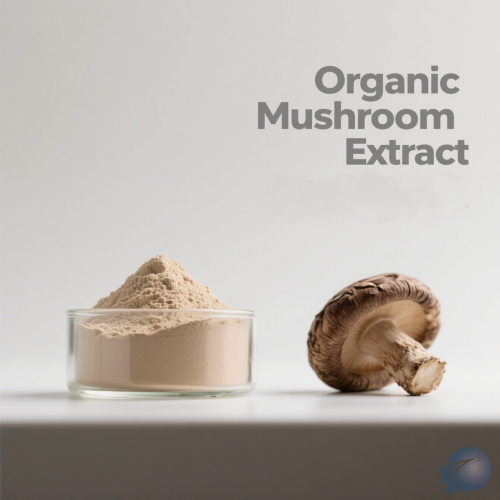 Organic Shiitake Mushroom Extract