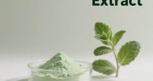 Peppermint Extract