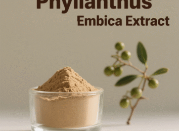 Phyllanthus Emblica Extract