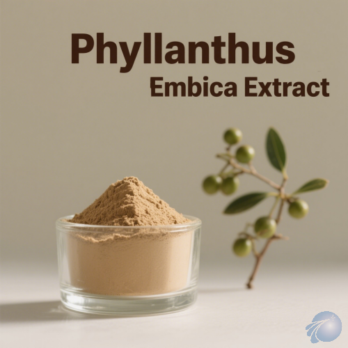 Phyllanthus Emblica Extract