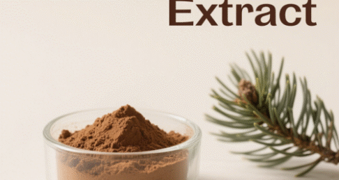 Pine Bark Extract