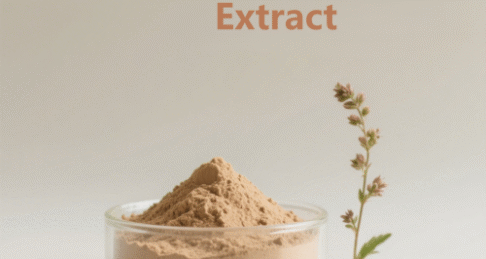 Plantago Herb Extract