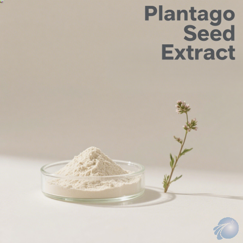 Plantago Seed Extract