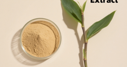 Polygonum Cuspidatum Extract