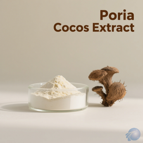 Poria Cocos Extract