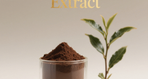 Pu Erh Tea Extract