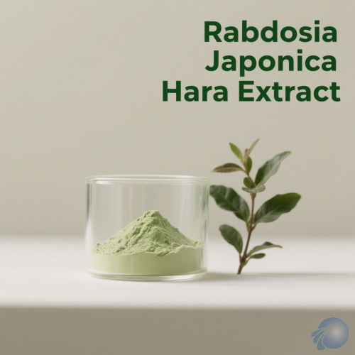 Rabdosia Japonica Hara Extract