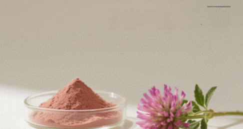 Red Clover Extract