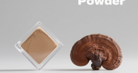 Reishi Extract Powder