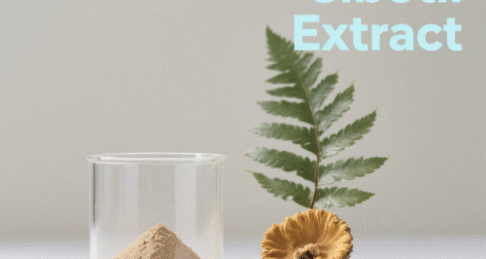 Rhizoma Cibotii Extract