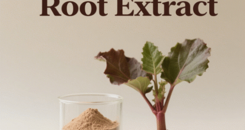 Rhubarb Root Extract