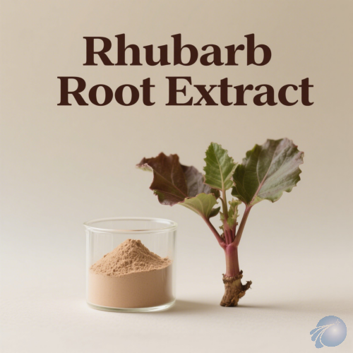 Rhubarb Root Extract
