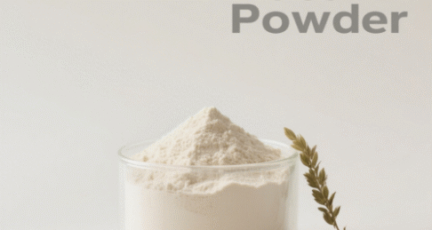 Rice Protein Powder