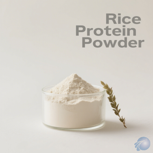 Rice Protein Powder