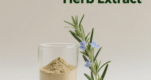 Rosemary Herb Extract
