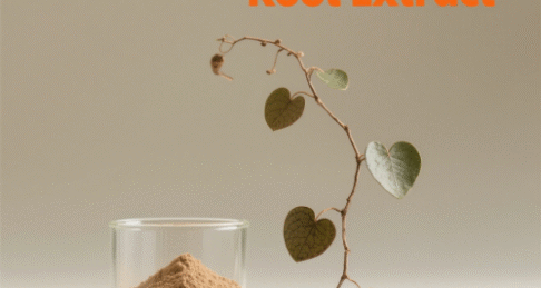 Sarsaparilla Root Extract