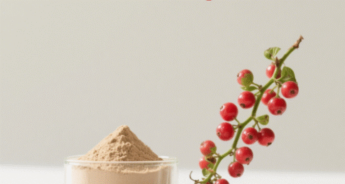 Schisandra Berry Extract