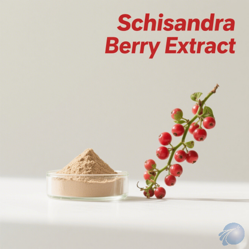 Schisandra Berry Extract