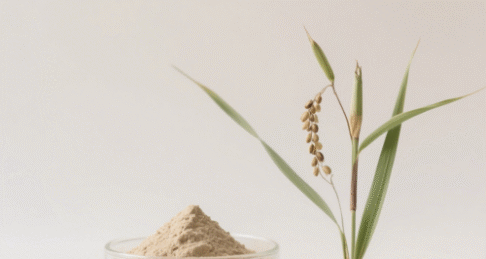 Semen Coicis Extract