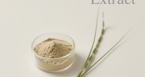 Shavegrass Extract