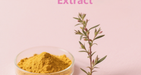 St. John's Wort Extract