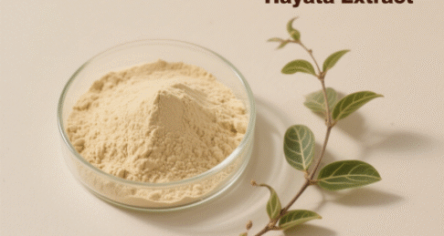 Stephania Cepharantha Hayata Extract