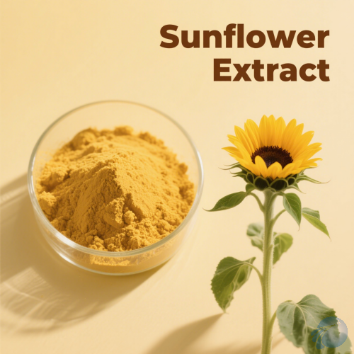 Sunflower Extract