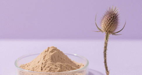 Teasel Root Extract